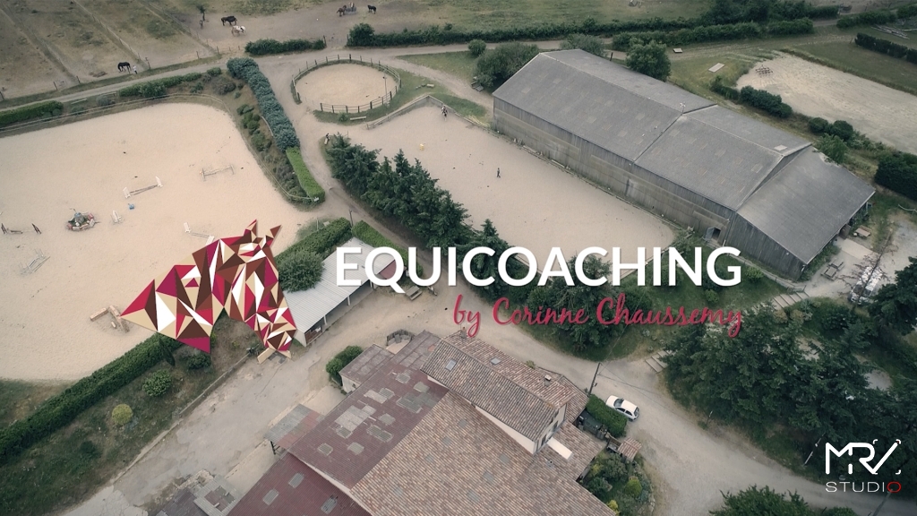 video equicoaching lyon